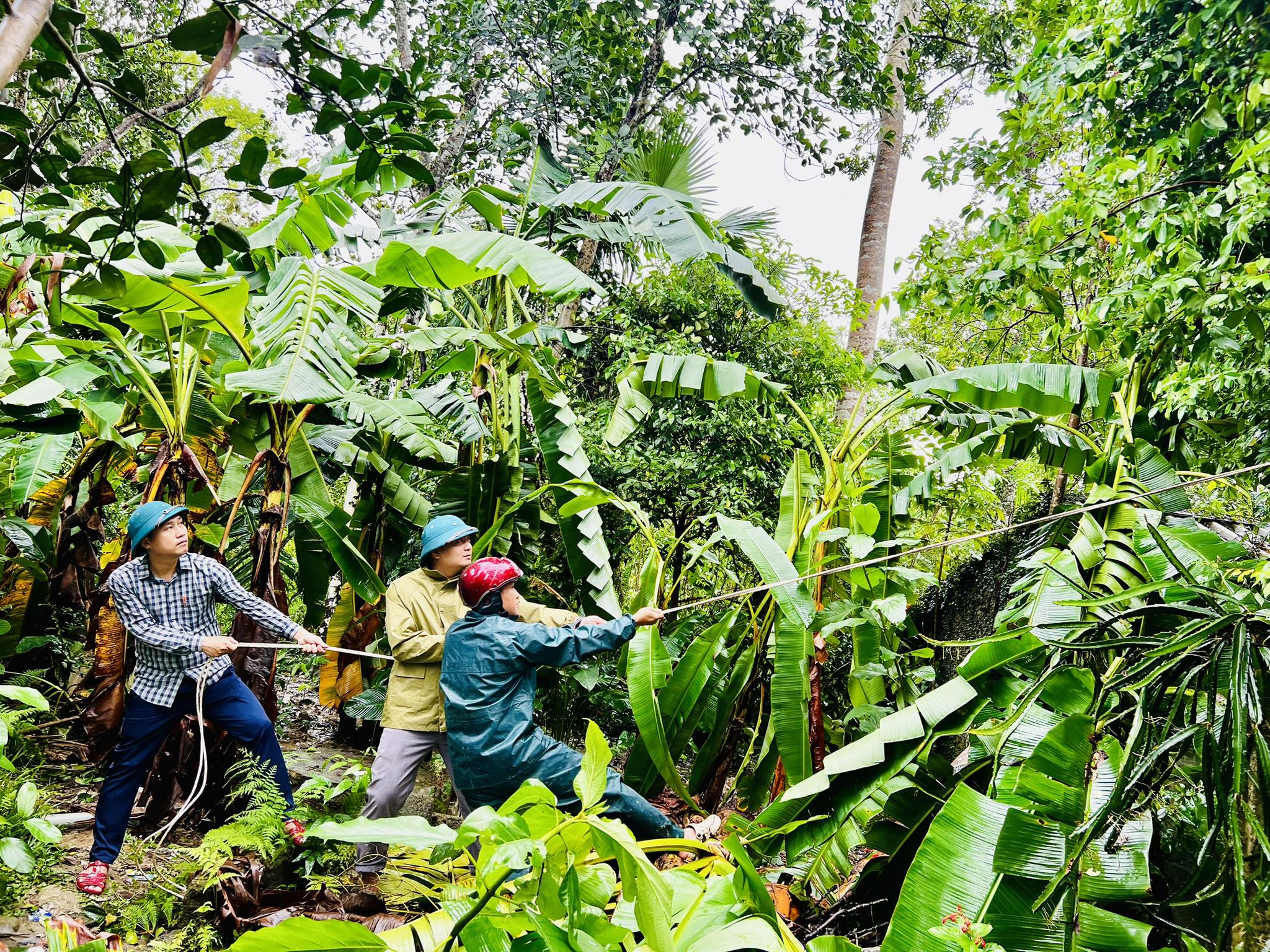 Xã Hương Sơn tập trung khắc phục hậu quả sau bão số 5