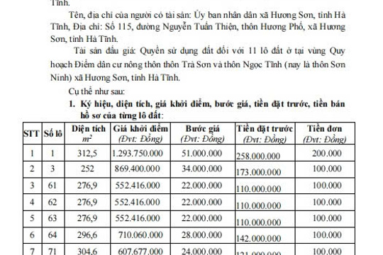 CÔNG TY ĐẤU GIÁ HỢP DANH TRƯỜNG THỊNH - THÔNG BÁO  Đấu giá quyền sử dụng đất đối với 11 lô đất ở tại vùng Quy hoạch Điểm dân cư nông thôn thôn Trà Sơn và thôn Ngọc Tĩnh (nay là thôn Sơn  Ninh) xã Hương Sơn, tỉnh Hà Tĩnh. 