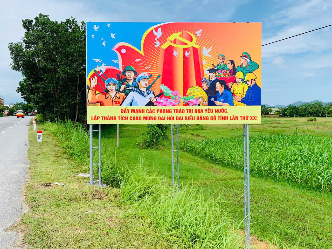 đh8.jpg