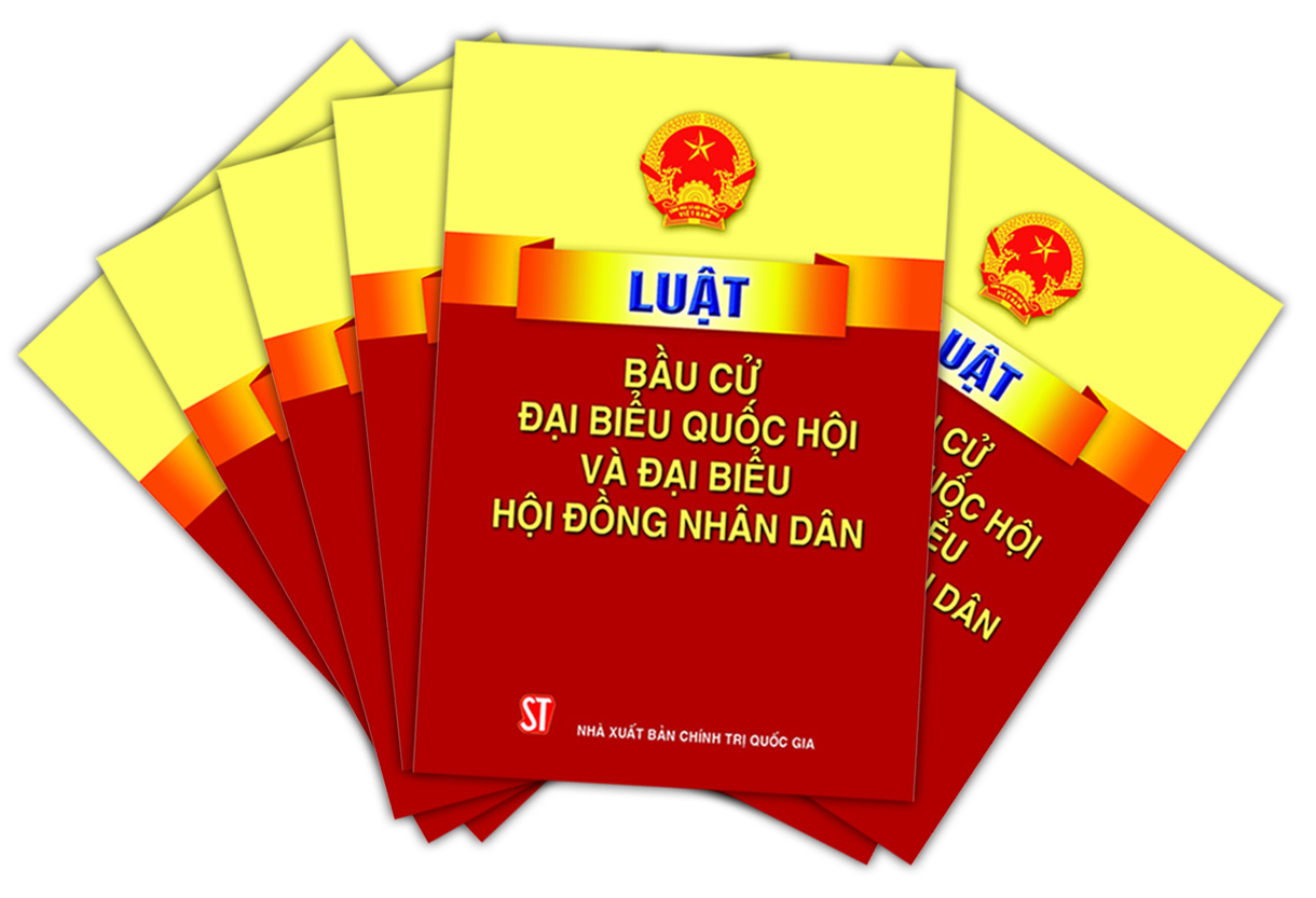 Người có hành vi vi phạm pháp luật về bầu cử bị xử lý như thế nào?