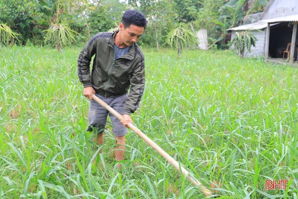 Từ thanh niên nghèo ở miền núi Hà Tĩnh thành hộ sản xuất kinh doanh giỏi