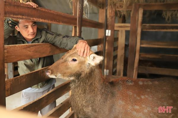 Từ thanh niên nghèo ở miền núi Hà Tĩnh thành hộ sản xuất kinh doanh giỏi