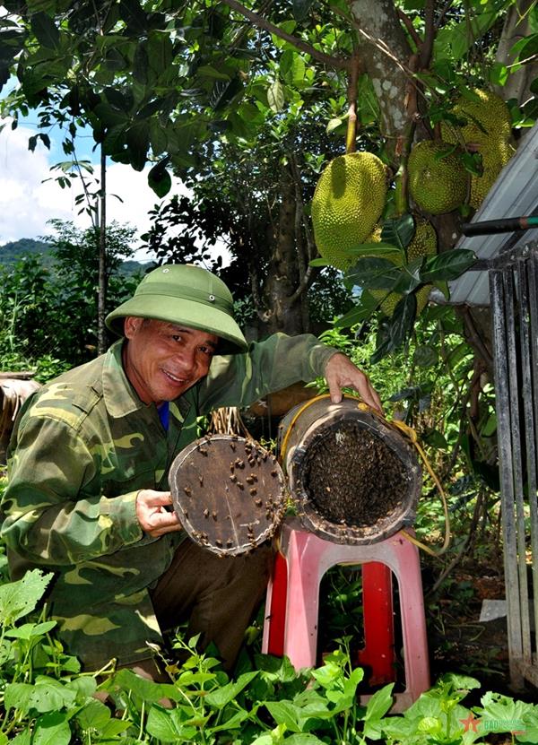 Cựu chiến binh biết làm giàu từ rừng